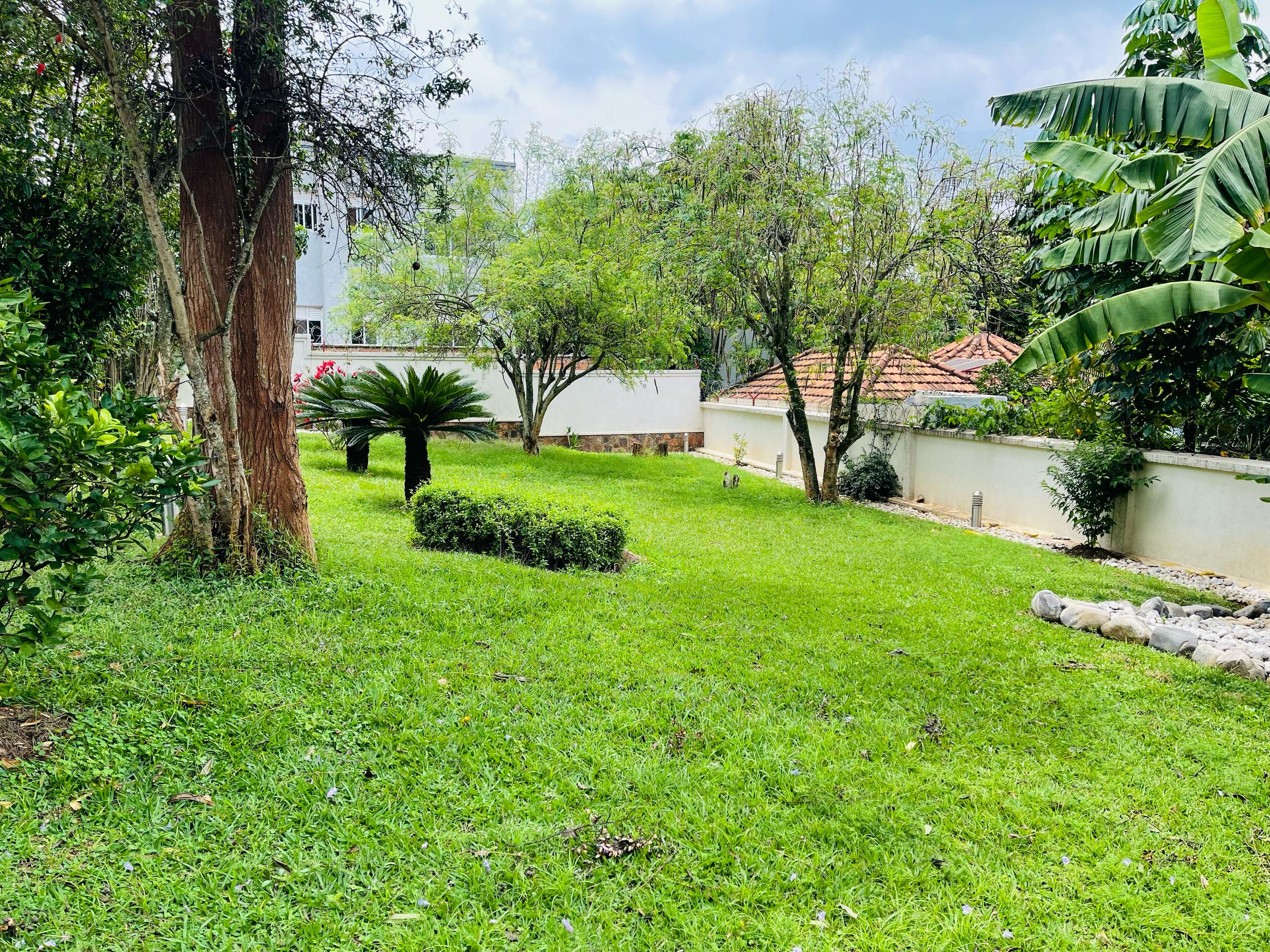 CR 049 House for Rent in Kiyovu