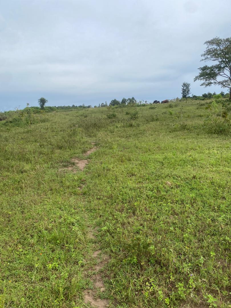CR 051 LAND FOR SALE IN MUHAZI