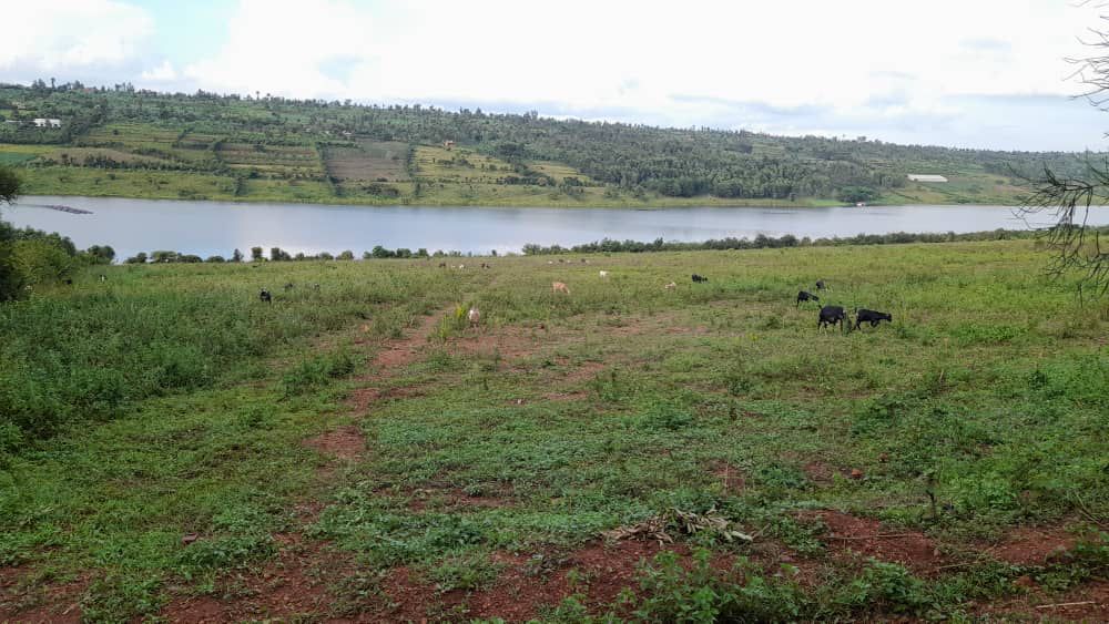 CR 052 LAND FOR SALE IN MUHAZI