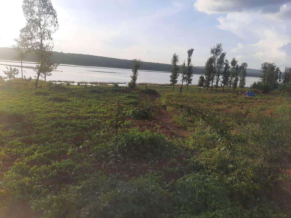 CR 053 LAND FOR SALE IN BUGESERA