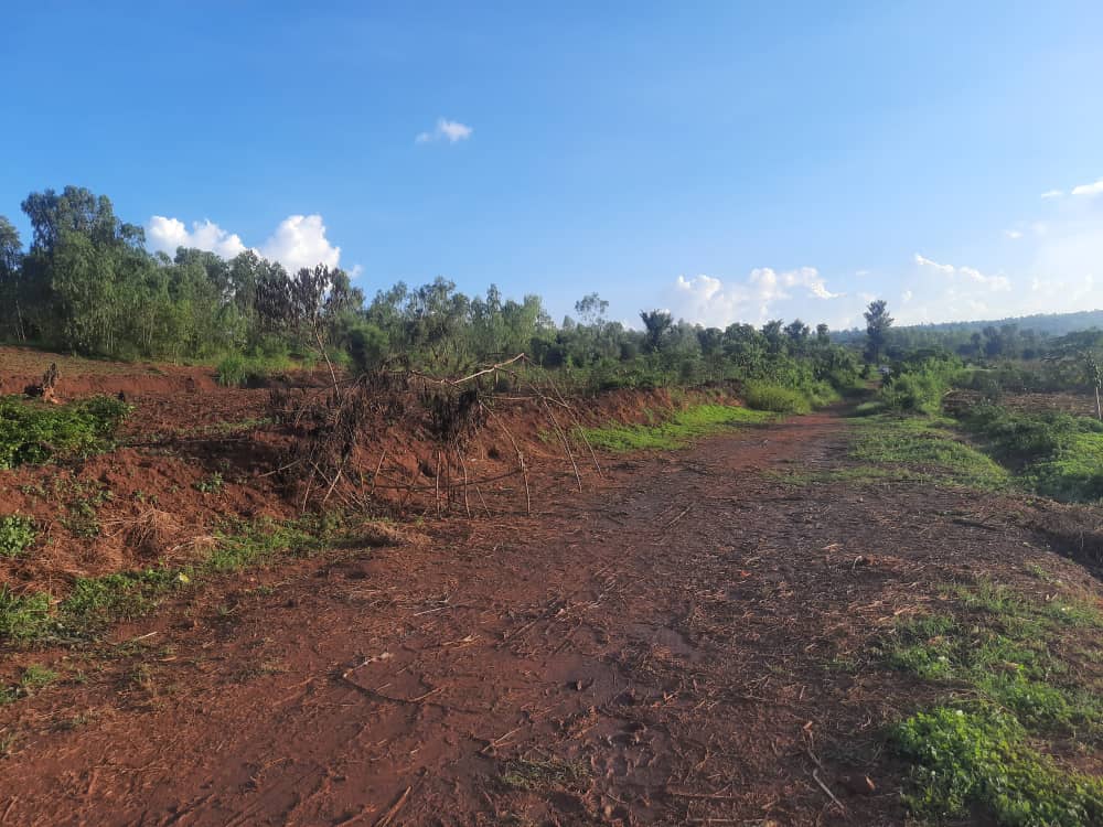 CR 053 LAND FOR SALE IN BUGESERA