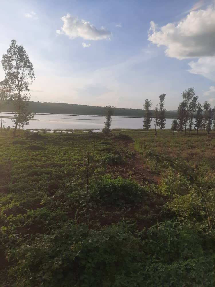 CR 053 LAND FOR SALE IN BUGESERA