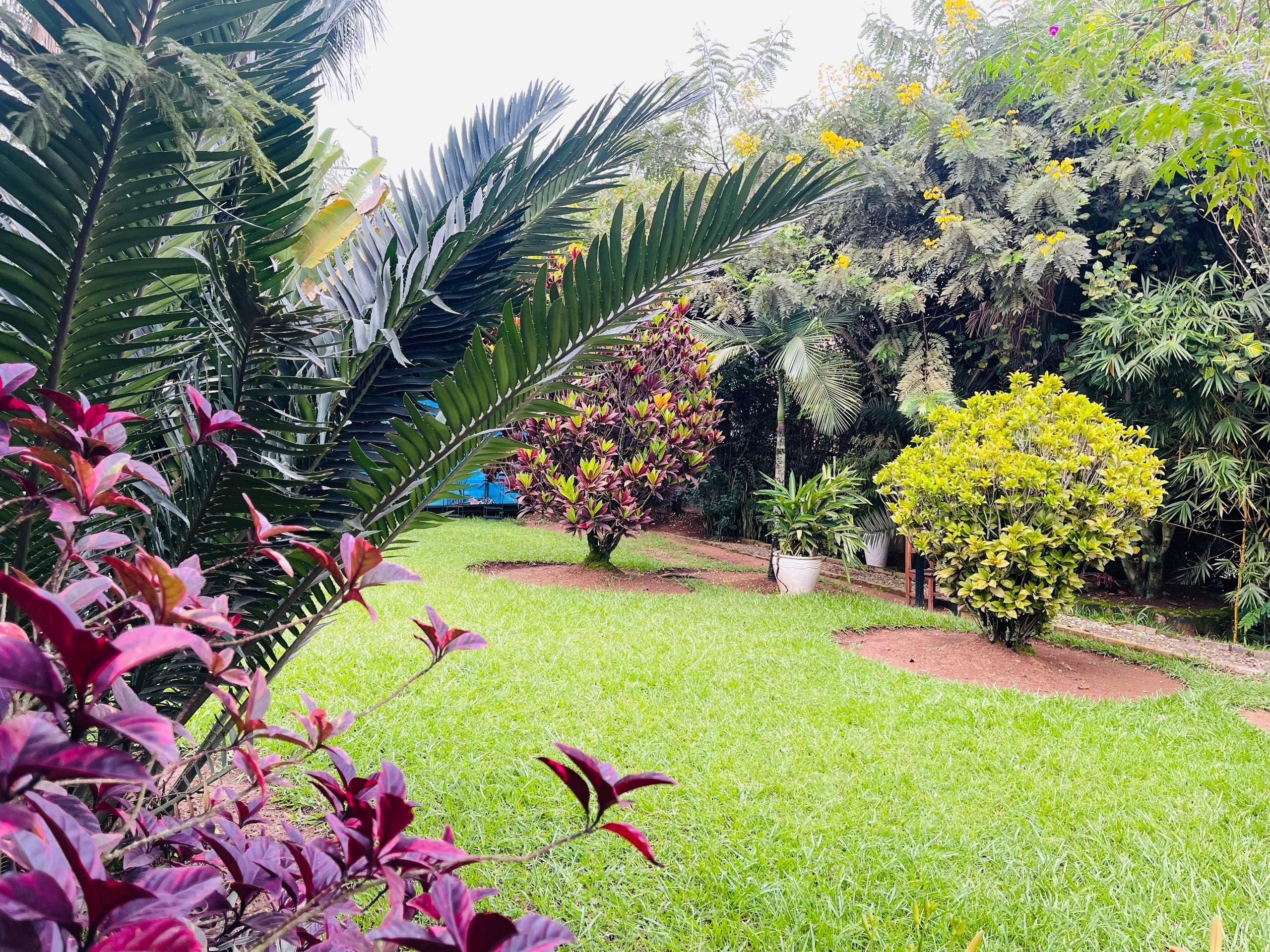 CR 057 PROPERTY FOR RENT IN KIMIHURURA-RUGANDO